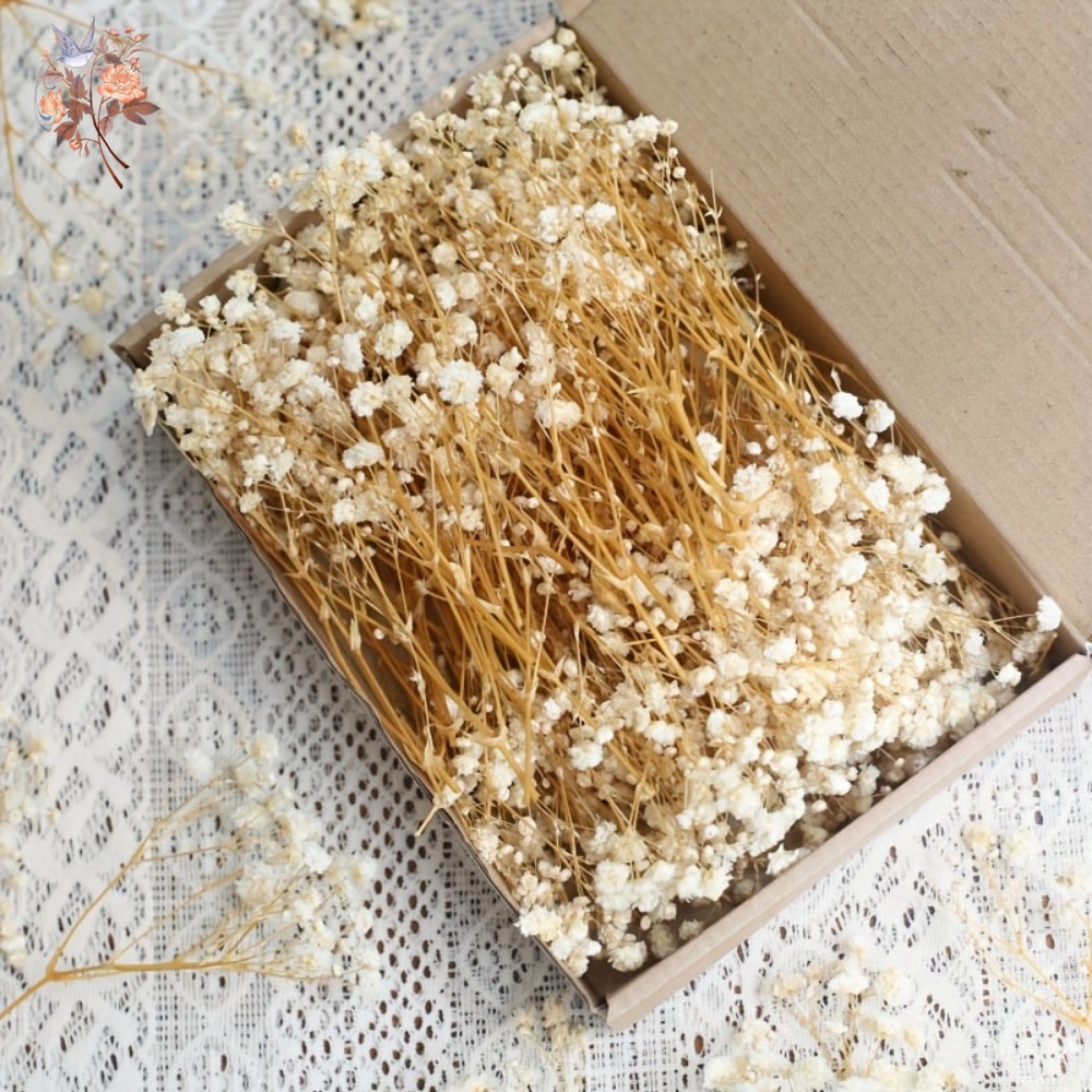 100 Pezzi Mini Fiori Secchi di - Craft Embellishments recensione e prezzo