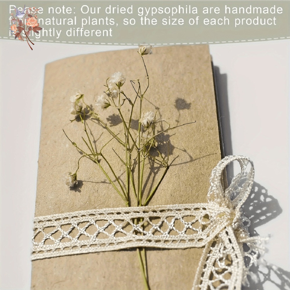 100 Pezzi Mini Fiori Secchi di - Craft Embellishments recensione e prezzo